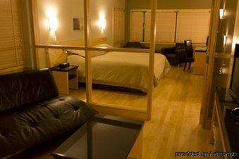 Le Dauphin St-hyacinthe 3*
