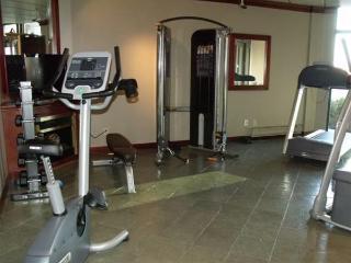 Hotel Le Dauphin St-hyacinthe 3*