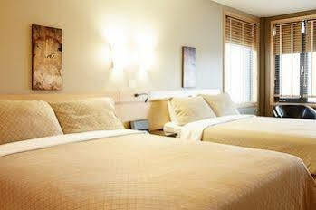 Le Dauphin St-hyacinthe 3* Saint-Hyacinthe